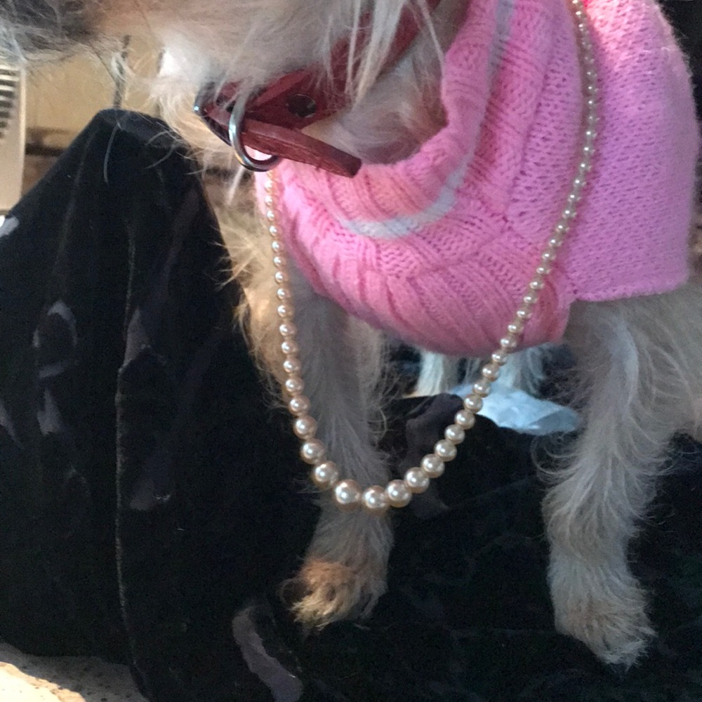 Pearl necklace